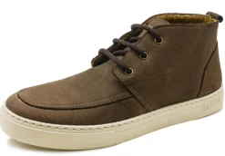 Natural World Bottes-Lyra