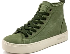 Natural World Bottes-Vieira Napa